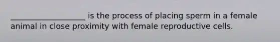 ___________________ is the process of placing sperm in a female animal in close proximity with female reproductive cells.