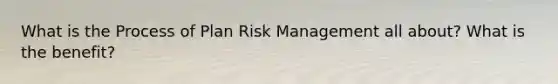 What is the Process of Plan Risk Management all about? What is the benefit?