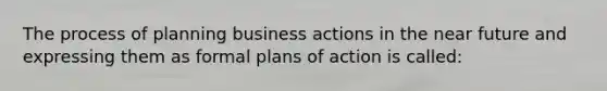 The process of planning business actions in the near future and expressing them as formal plans of action is called: