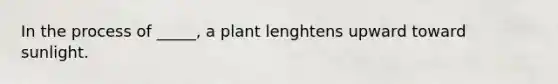 In the process of _____, a plant lenghtens upward toward sunlight.