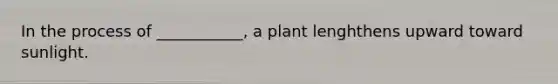 In the process of ___________, a plant lenghthens upward toward sunlight.