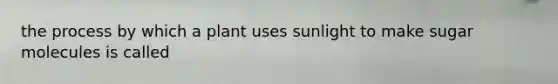 the process by which a plant uses sunlight to make sugar molecules is called