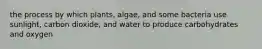 the process by which plants, algae, and some bacteria use sunlight, carbon dioxide, and water to produce carbohydrates and oxygen