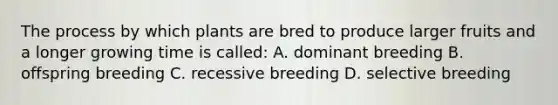 The process by which plants are bred to produce larger fruits and a longer growing time is called: A. dominant breeding B. offspring breeding C. recessive breeding D. selective breeding