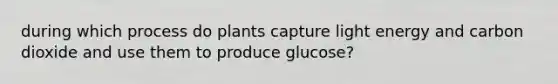 during which process do plants capture light energy and carbon dioxide and use them to produce glucose?