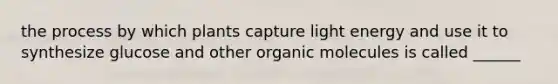 the process by which plants capture light energy and use it to synthesize glucose and other organic molecules is called ______