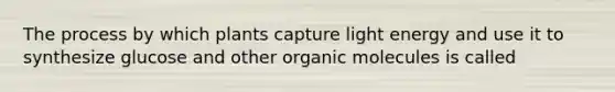 The process by which plants capture light energy and use it to synthesize glucose and other organic molecules is called