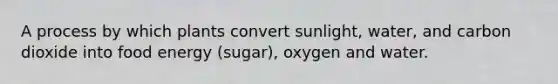 A process by which plants convert sunlight, water, and carbon dioxide into food energy (sugar), oxygen and water.