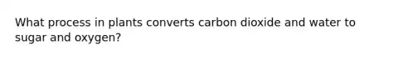 What process in plants converts carbon dioxide and water to sugar and oxygen?