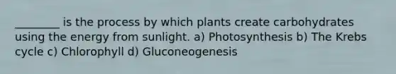 ________ is the process by which plants create carbohydrates using the energy from sunlight. a) Photosynthesis b) The Krebs cycle c) Chlorophyll d) Gluconeogenesis