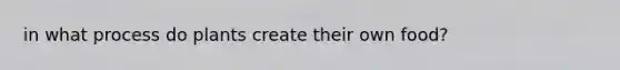 in what process do plants create their own food?