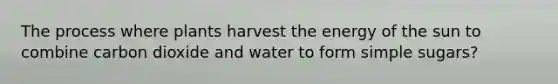 The process where plants harvest the energy of the sun to combine carbon dioxide and water to form simple sugars?