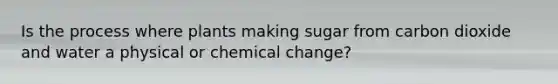 Is the process where plants making sugar from carbon dioxide and water a physical or chemical change?