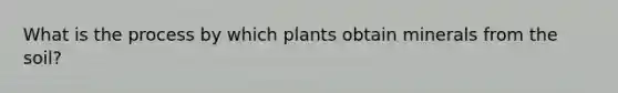 What is the process by which plants obtain minerals from the soil?