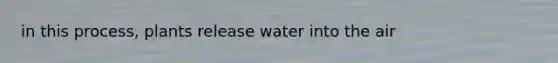 in this process, plants release water into the air