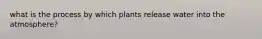 what is the process by which plants release water into the atmosphere?