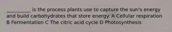 __________ is the process plants use to capture the sun's energy and build carbohydrates that store energy. A Cellular respiration B Fermentation C The citric acid cycle D Photosynthesis