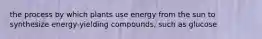 the process by which plants use energy from the sun to synthesize energy-yielding compounds, such as glucose