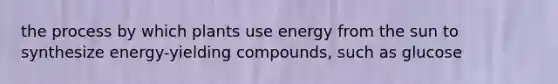 the process by which plants use energy from the sun to synthesize energy-yielding compounds, such as glucose