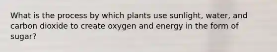 What is the process by which plants use sunlight, water, and carbon dioxide to create oxygen and energy in the form of sugar?