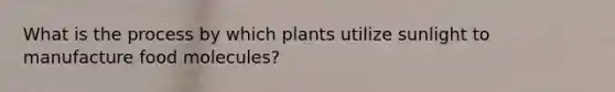 What is the process by which plants utilize sunlight to manufacture food molecules?