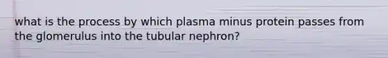 what is the process by which plasma minus protein passes from the glomerulus into the tubular nephron?