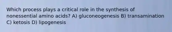 Which process plays a critical role in the synthesis of nonessential amino acids? A) gluconeogenesis B) transamination C) ketosis D) lipogenesis