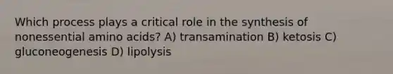 Which process plays a critical role in the synthesis of nonessential <a href='https://www.questionai.com/knowledge/k9gb720LCl-amino-acids' class='anchor-knowledge'>amino acids</a>? A) transamination B) ketosis C) gluconeogenesis D) lipolysis