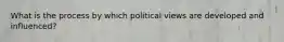 What is the process by which political views are developed and influenced?