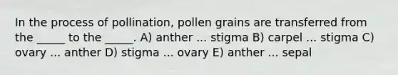 In the process of pollination, pollen grains are transferred from the _____ to the _____. A) anther ... stigma B) carpel ... stigma C) ovary ... anther D) stigma ... ovary E) anther ... sepal