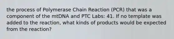 the process of Polymerase Chain Reaction (PCR) that was a component of the mtDNA and PTC Labs: 41. If no template was added to the reaction, what kinds of products would be expected from the reaction?