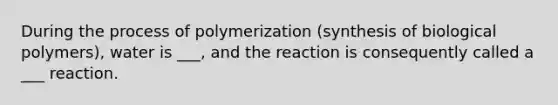 During the process of polymerization (synthesis of biological polymers), water is ___, and the reaction is consequently called a ___ reaction.