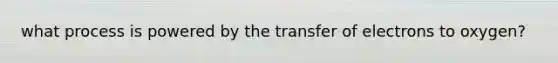 what process is powered by the transfer of electrons to oxygen?