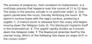 The process of pregnancy, from ovulation to implantation, is a multistep process that happens over the course of 11 to 12 days. The steps in the process include in no particular order: A. One sperm penetrates the ovum, thereby fertilizing the ovum. B. The sperm's nucleus fuses with the egg's nucleus, producing a zygote. C. A mature ovum is released from the ovary and begins moving down the fallopian tube. D. The blastocyst implants itself in the endometrium. E. The zygote rapidly divides as it travels down the fallopian tube. F. The blastocyst attaches itself to the uterine lining. Which of the following lists these six steps (A-F) in the correct order?