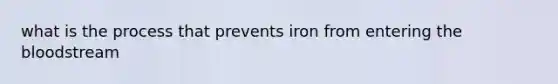 what is the process that prevents iron from entering the bloodstream