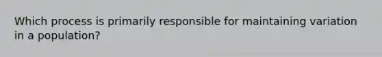 Which process is primarily responsible for maintaining variation in a population?