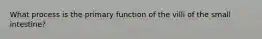 What process is the primary function of the villi of the small intestine?