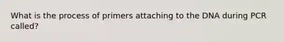 What is the process of primers attaching to the DNA during PCR called?