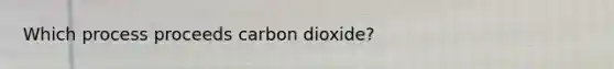 Which process proceeds carbon dioxide?