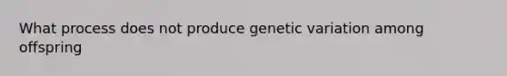 What process does not produce genetic variation among offspring