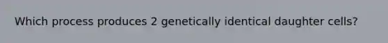 Which process produces 2 genetically identical daughter cells?