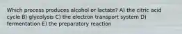 Which process produces alcohol or lactate? A) the citric acid cycle B) glycolysis C) the electron transport system D) fermentation E) the preparatory reaction