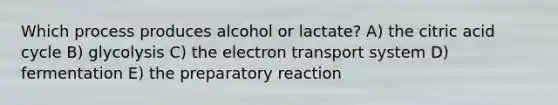 Which process produces alcohol or lactate? A) the citric acid cycle B) glycolysis C) the <a href='https://www.questionai.com/knowledge/kbvjAonm6A-electron-transport-system' class='anchor-knowledge'>electron transport system</a> D) fermentation E) the preparatory reaction