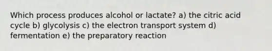 Which process produces alcohol or lactate? a) the citric acid cycle b) glycolysis c) the electron transport system d) fermentation e) the preparatory reaction