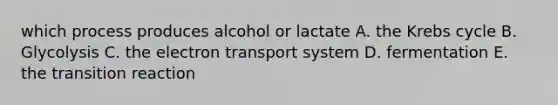 which process produces alcohol or lactate A. the Krebs cycle B. Glycolysis C. the electron transport system D. fermentation E. the transition reaction