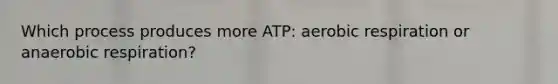 Which process produces more ATP: aerobic respiration or anaerobic respiration?