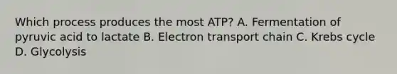 Which process produces the most ATP? A. Fermentation of pyruvic acid to lactate B. Electron transport chain C. Krebs cycle D. Glycolysis