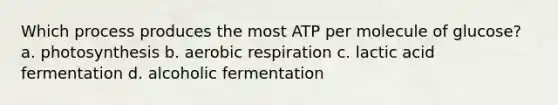 Which process produces the most ATP per molecule of glucose? a. photosynthesis b. aerobic respiration c. lactic acid fermentation d. alcoholic fermentation