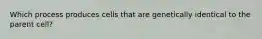 Which process produces cells that are genetically identical to the parent cell?
