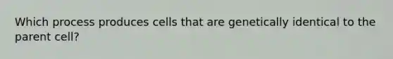 Which process produces cells that are genetically identical to the parent cell?